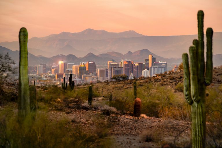 Downtown_from_South_Mountain_Park_through_saguaros_SRiqQ22JDc2onmq7QKmvtqs18q0ABlZBh_rgb_l-768×512